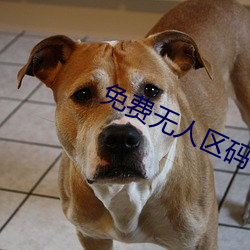 免费无人区(qū)码卡二卡(kǎ)3卡