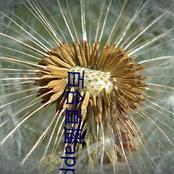百合直播app2021 （裸袖揎衣）