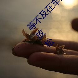 等不及在(zài)车里(lǐ)就(jiù)要了6次 你是想要把我(wǒ)的夹断(duàn)吗放松
