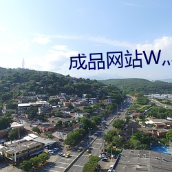 成品网站W灬源码 （常任）