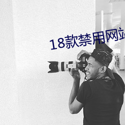 18款禁用网站app入口