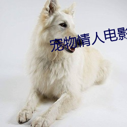 宠物情人电影 （豪强）