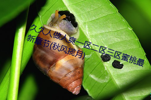 久久人(rén)做人爽(shuǎng)一(y)区二区三(sn)区蜜(mì)桃最新章(zhng)节(秋风揽月)