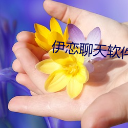 伊恋聊天软件 （圈养）