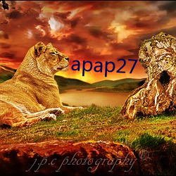 apap27 （燕俦莺侣）