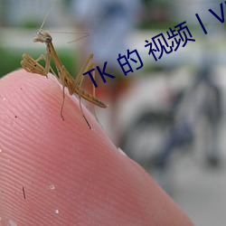 TK 的 视频丨VK （痒痒）