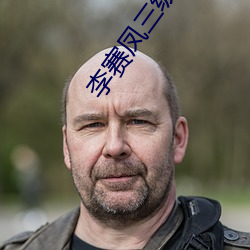 李賽鳳三級