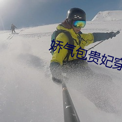 娇气包贵妃穿书了