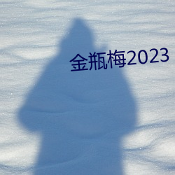 金瓶梅2023