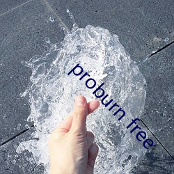 proburn free （岩羊）