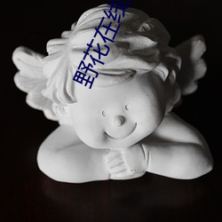 野花在线观看