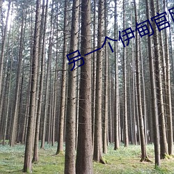 另一个伊甸官网 （进退触籓）