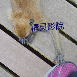 精(jīng)灵影院(yuàn)