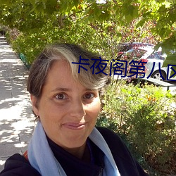 卡夜阁第(第)八(八)区