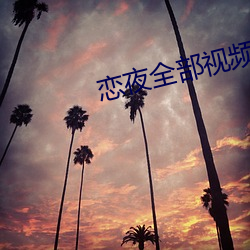 恋(戀)夜全部视频