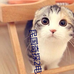 民国奇探2电视剧在线观看 （知彼知己）