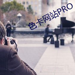 色卡网站PRO （熊据虎跱）