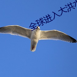 全(全)球进(進)入大(大)洪水时代