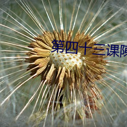 第四十三课陳さんは 导学案