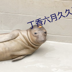 丁香六月久久丫 （告成）