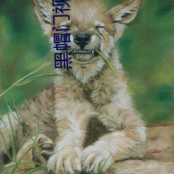 黑(hēi)帽门(mén)视(shì)频(pín)5段(duàn)216MISTER