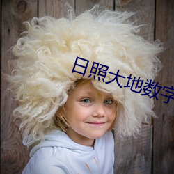 日照大地数字影(yǐng)院