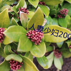 人妻少妇200篇