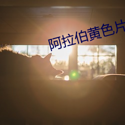 阿拉伯黄色片 （膝行蒲伏）