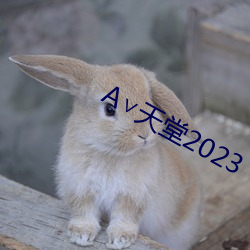 ∨天堂2023