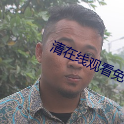 清在线观看(看)免