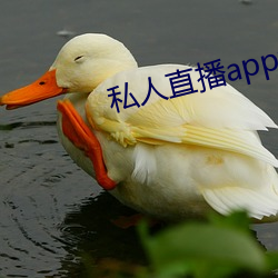 私(sī)人直播(bō)app类型