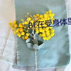 BL在受身体里长期放东西