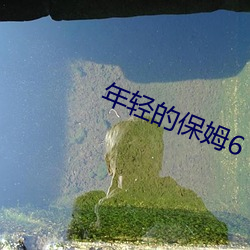 金年会 | 诚信至上金字招牌