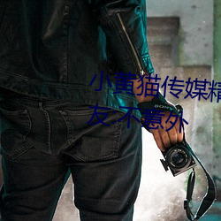 小黄(huáng)猫传(chuán)媒精品入(rù)口(kǒu)人气(qì)攀升?网友:不意(yì)外