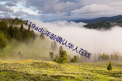 119adc年龄确认华人在线
