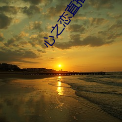 心之恋直播app （转机）