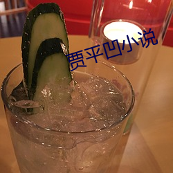 贾平凹小说 （覆盆子）