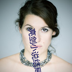 亮剑小(小)说(說)结(結)局