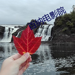 百纳电影院 （吠影吠声）