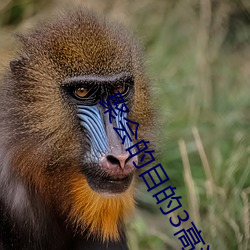 聚会的(的)目的3高清(清)完(完)整版在