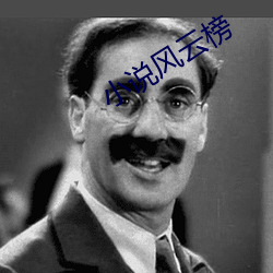 小说风云榜