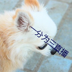 一分为三直播