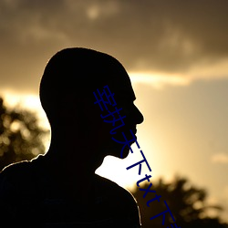 宰(zǎi)执天下txt下载