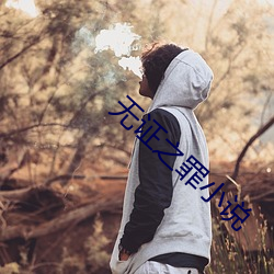 无证之罪小说