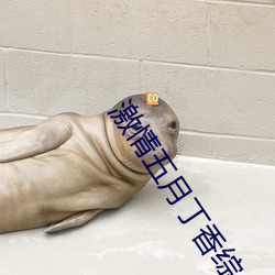 激(激)情(情)五(五)月丁香(香)综合(合)网