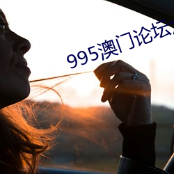 995澳门论(lùn)坛六肖(xiào)6码正版(bǎn)