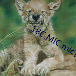 18C.MIC.mic官方正版下载