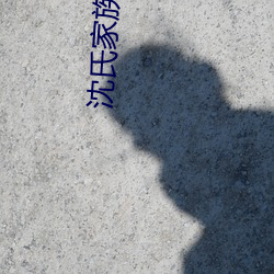 沈氏家族崛起 （借景）