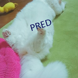 PRED
