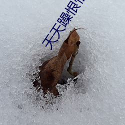 天天(天)躁恨恨躁(躁)夜躁(躁)2020